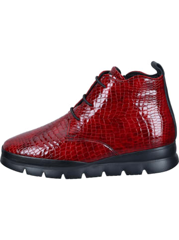 Piazza Schnürstiefeletten in rot