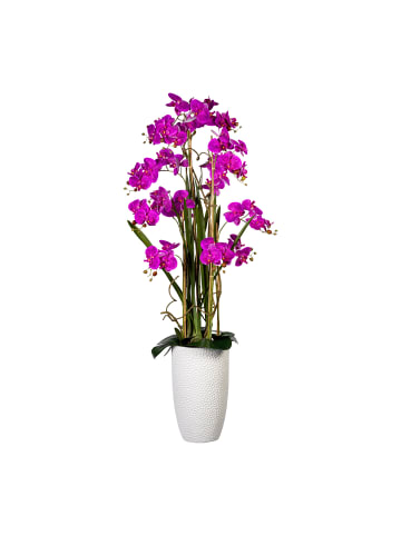 Creativ green Deko-Orchidee Phalaenopsis in lila