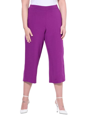 MIAMODA Culotte in beere