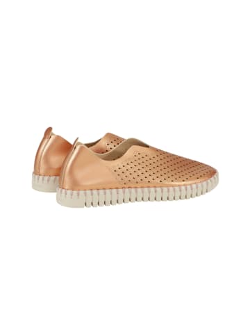 Ilse Jacobsen Slipper TULIP3576 in Roségold