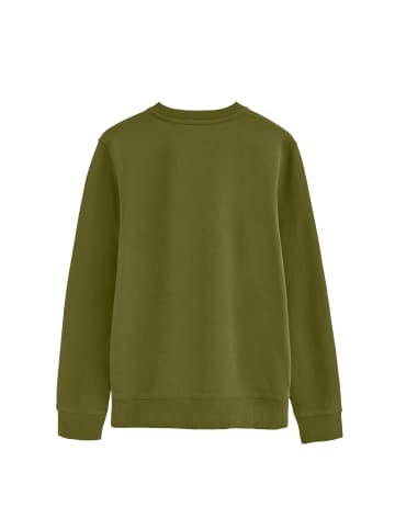 Polo Club Sweatshirt RIGBY GO SWEAT U VO in Moos