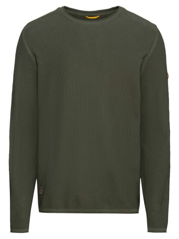 Camel Active Pullover in leaf green