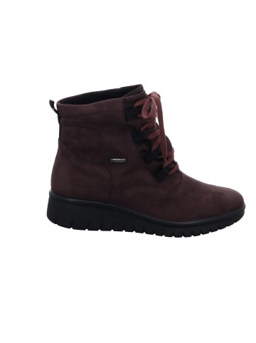 WESTLAND Stiefelette Calais in aubergine