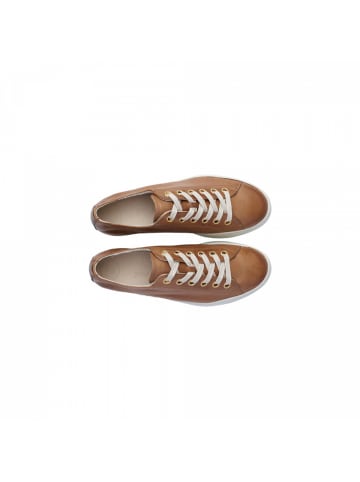 Paul Green Sneaker  in Braun