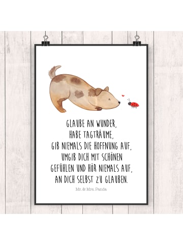 Mr. & Mrs. Panda Poster Hund Marienkäfer mit Spruch in Weiß