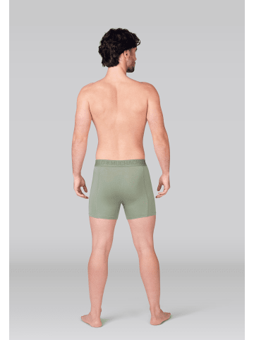 Muchachomalo 3er-Set: Boxershort in Mehrfarbig - für Herren