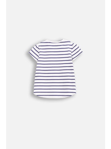 Coccodrillo T-Shirt mit kurzem Ärmel in bunt