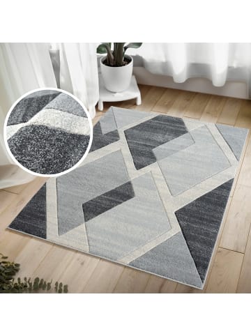 payé Teppich Kurzflor Bonita 67