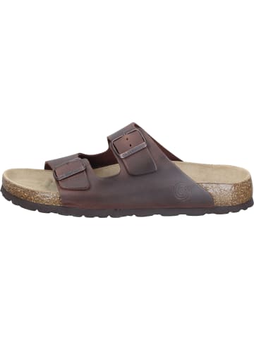 Dr. BRINKMANN Klassische Pantoletten in braun