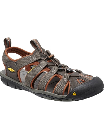 Keen M CLEARWATER CNX in Braun