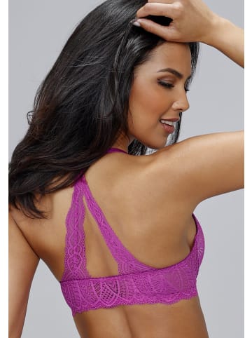 LASCANA Push-up-BH in fuchsia-puder