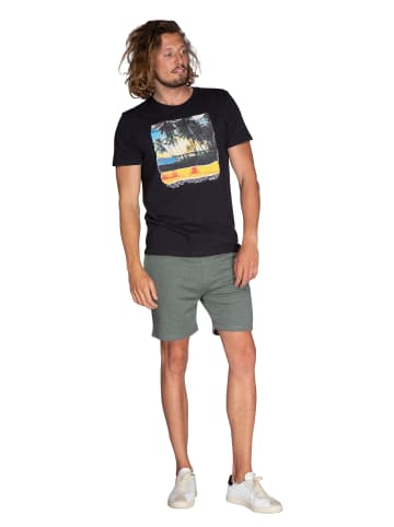 Protest " PRTBRIND in Thyme