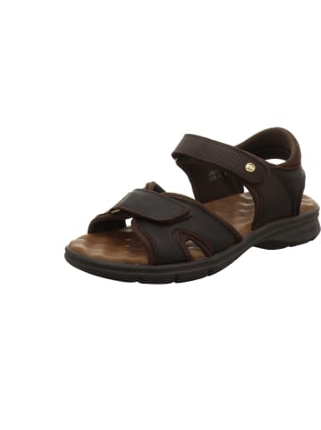 PANAMA JACK Sandalette in braun