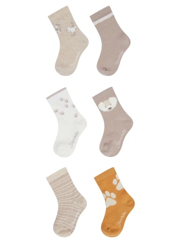 Sterntaler Socken 6er-Pack Hund in natur