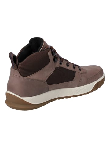 Ecco Hightop-Sneaker Byway Tred in taupe/coffee