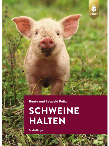 Ulmer Schweine halten