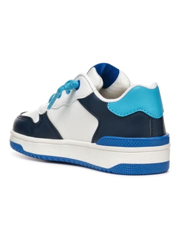 Geox Sneaker in Blau/Weiß