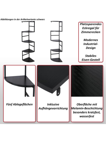 MCW Eckregal O99, Braun