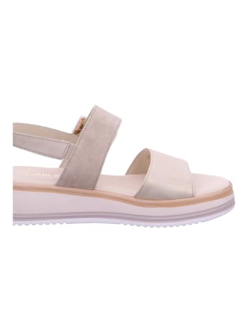Gabor Comfort Sandale  in Beige