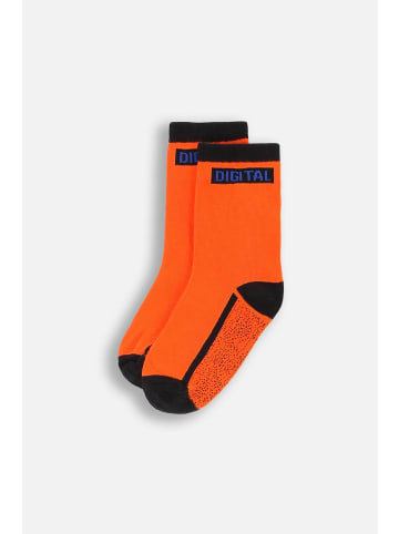 Coccodrillo Socken in rot