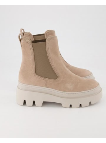 Paul Green Boots in Beige