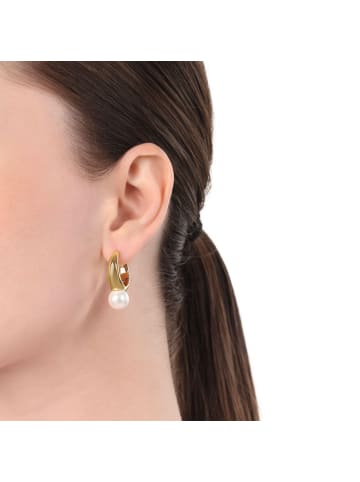 Amor Creolen Edelstahl, IP gold in Gold