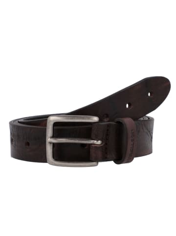 Strellson Gürtel Leder in brown