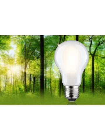paulmann LED Eco-Line AGL E27 1055lm 5,7W 3000K 3step dim matt 230V B