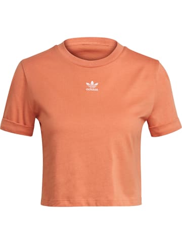 adidas adidas Cropped T-Shirts in hazy copper