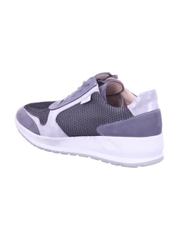 Finn Comfort Sneaker Low in grau