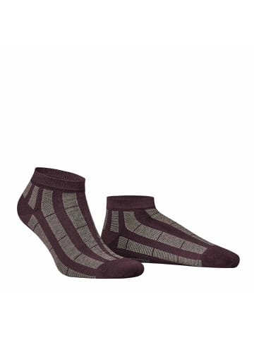 Hudson Sneakersocken Pin Fashion in blackberry