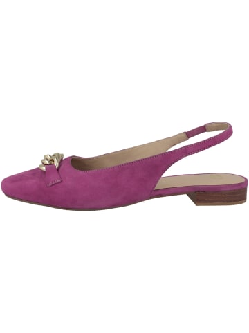 Gerry Weber Ballerinas Acerra 08 in pink