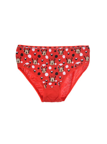 Disney Minnie Mouse 3er-Set: Unterhosen Slips in Mehrfarbig