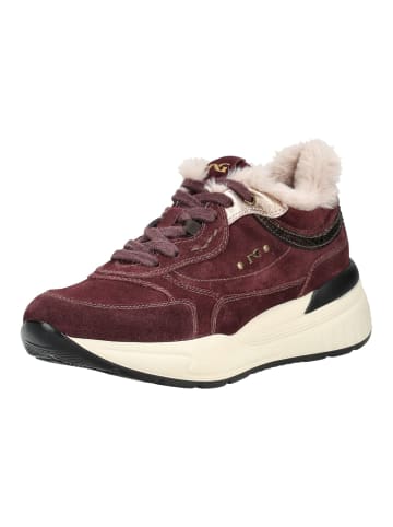 Nero Giardini Sneaker in Bordeaux