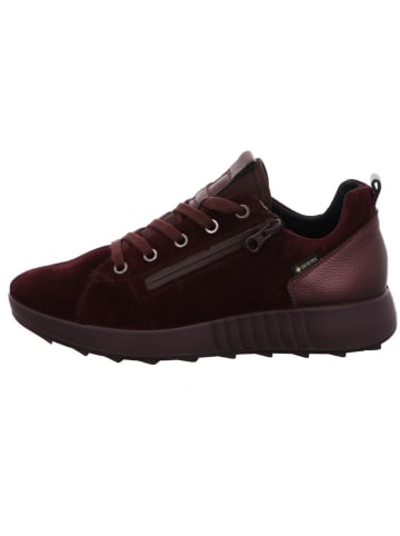 Legend Sneakers in bordeaux