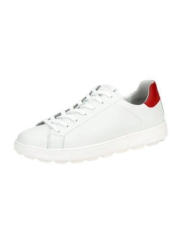 Geox Sneaker Low in Weiß