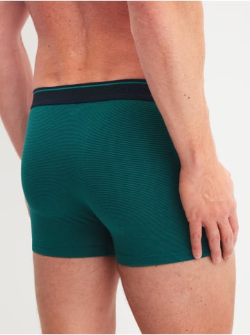 Calida New Boxer in ivy green