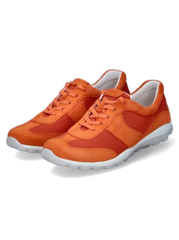 Gabor Low Sneaker in Orange