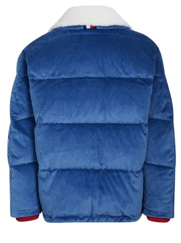 Tommy Hilfiger Winterjacke für Herren in blau