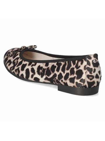 Tamaris Ballerinas in braun