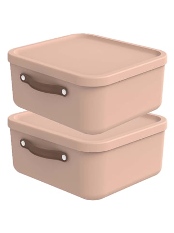 Rotho 2er-Set Kiste mit Deckel Maloja 20l in Meadow rose