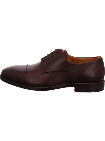 DIGEL Schnürschuh in braun