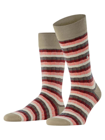 Burlington Socken Signature Stripe in Desert sand