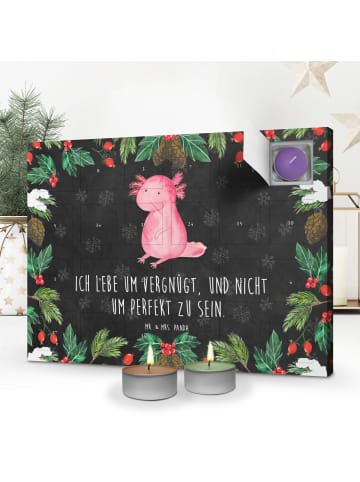 Mr. & Mrs. Panda Adventskalender Axolotl Niedlich mit Spruch in Kreidetafel