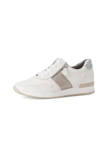Gabor Sneaker low in multicolour