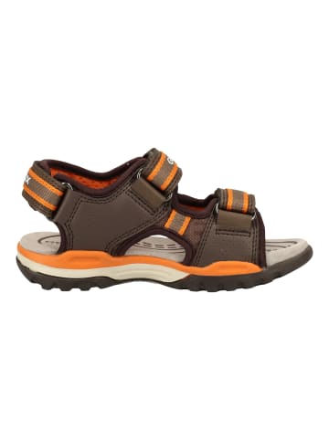 Geox Sandalen in Braun/Orange