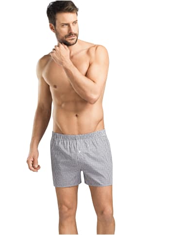 Hanro Boxershorts Fancy Woven in Grau