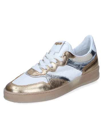 MJUS Low Sneaker LATTE ARGENTO ORO in Gold