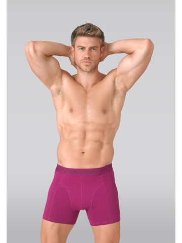 Muchachomalo 2er-Set: Boxershort in Mehrfarbig - für Herren