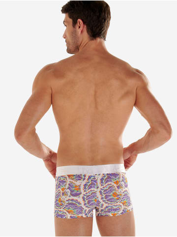 HOM Trunk Funky Styles in white print